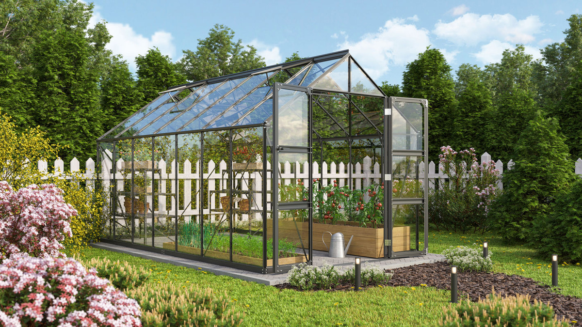 Vitavia Gewächshaus Domus 11500 in Schwarz mit 11,5 m² Fläche und Einscheibensicherheitsglas - Bild 2