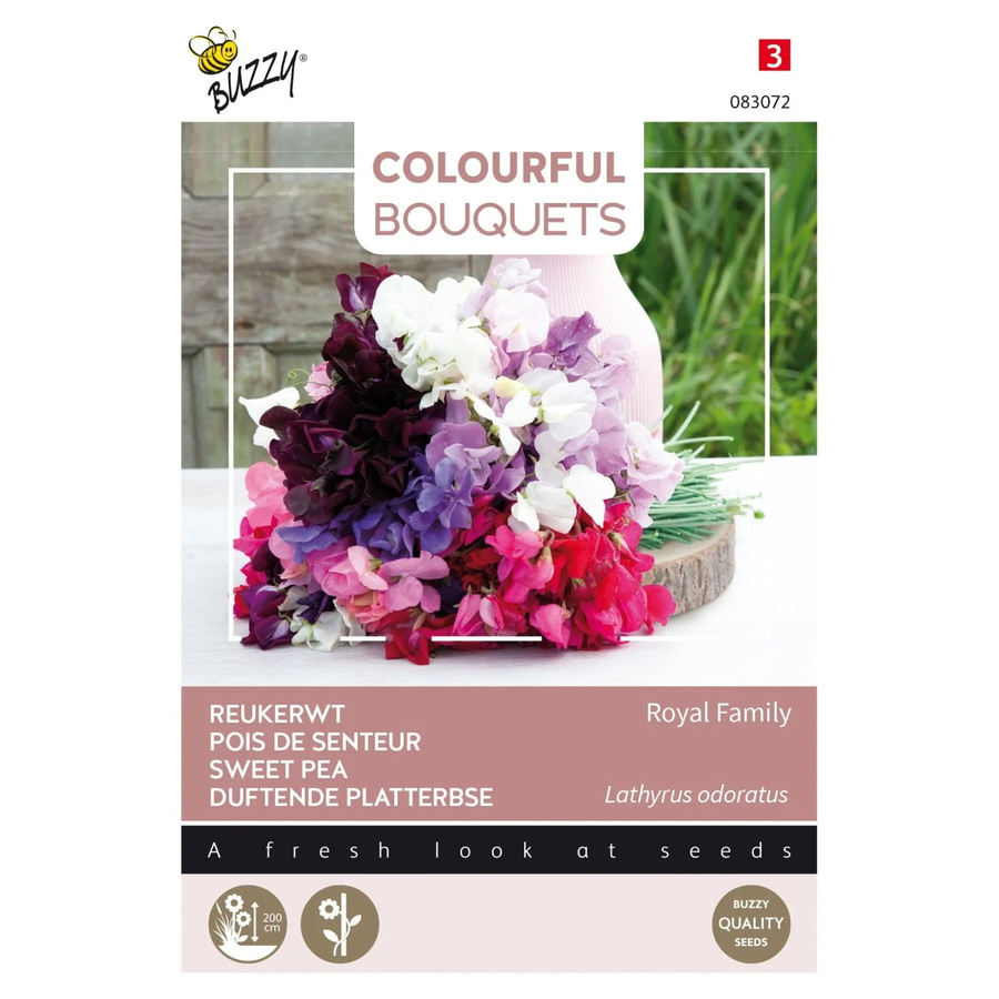 Arborix Duftwicke Royal Family Buzzy Colourful Bouquets Samen für duftende Schnittblumen, 5 g - Bild 2