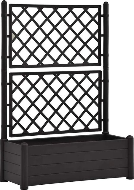Furnicato Pflanzkübel mit Spalier aus Polypropylen in Anthrazit, B/T/H: 100 x 43 x 142 cm - Bild 1