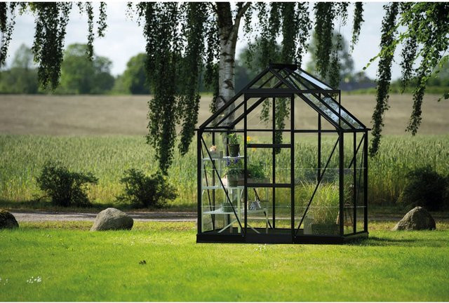 Halls Gewächshaus Icon 6 aus Glas in Schwarz mit 2,5 m² Fläche - Bild 1