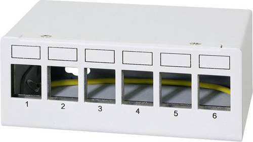 LogiLink NK4091 Patch-Panel CAT 6a in Lichtgrau (RAL 7035) - Bild 1