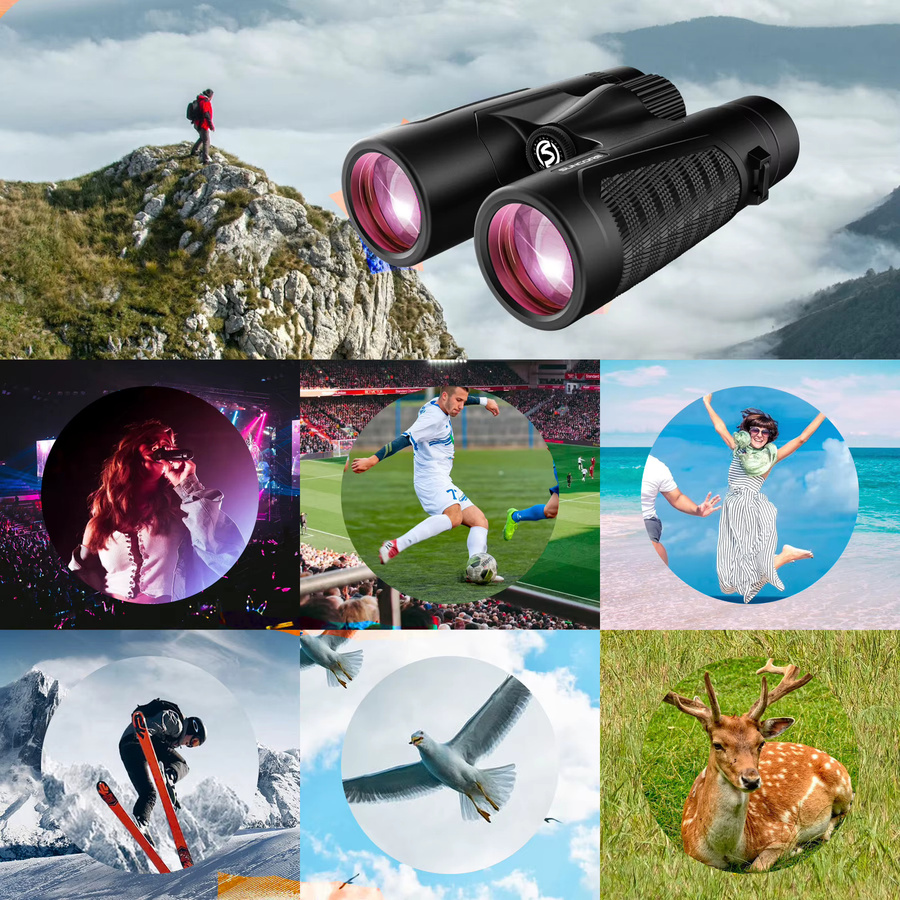 Suncore 10X42HD Fernglas für Erwachsene in Schwarz mit Telefonadapter und hoher Leistung - Bild 2