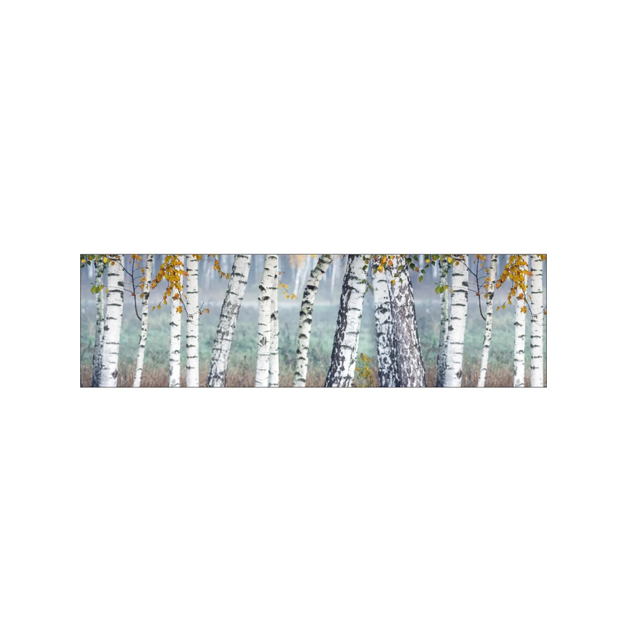MySpotti Küchenrückwand Profix Cucina Birkenwald in Birke-Weiß mit Aluminium-Elementen B: 210 cm, H: 60 cm - Bild 2
