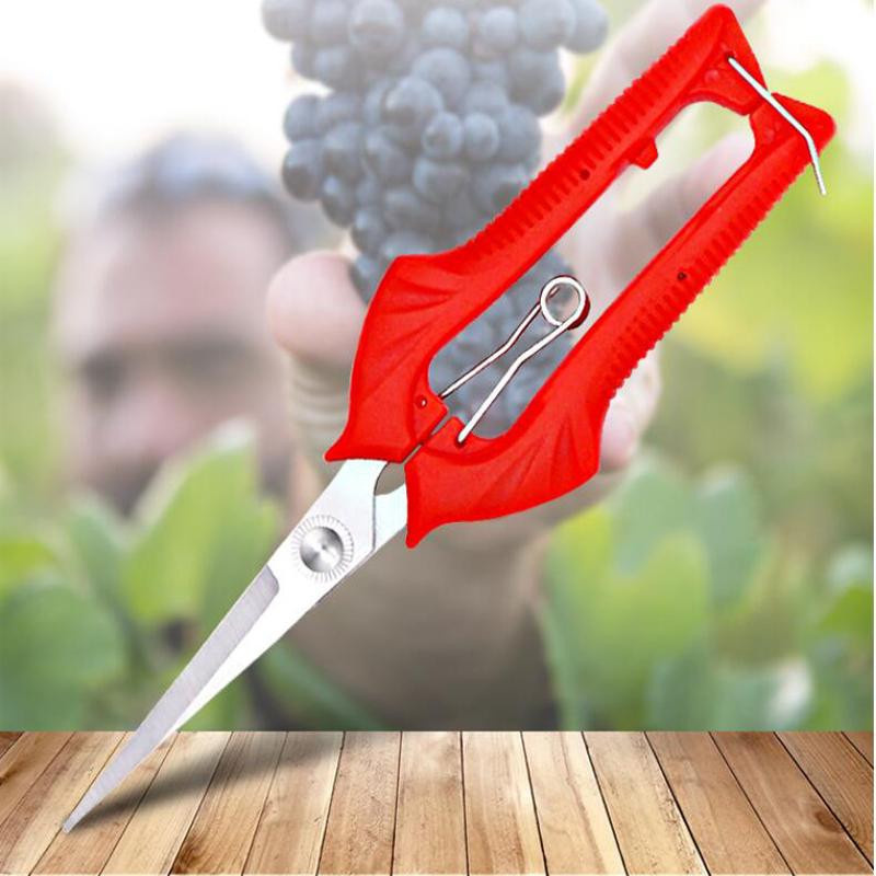 FATCOOL Gartenschere als Klappbare Floristenschere in Rot mit Edelstahl- und Metallklingen für die Gartenarbeit - Bild 3