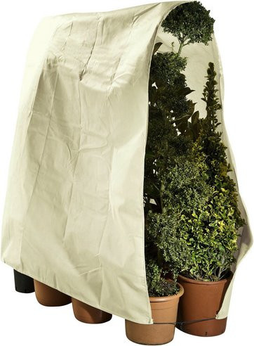 Maximex Winterschutz Vlieshaube für Pflanzen in Beige, Breite: 240 cm, Länge: 200 cm - Bild 3