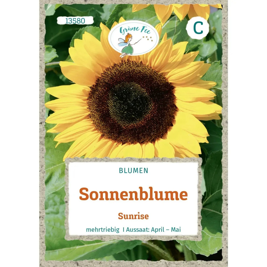 Grüne Fee Sonnenblume Sunrise Saatgut - Bild 2