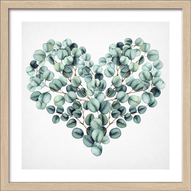 Gerahmtes Bild Eucalyptus von PRO ART, botanische Illustration in Grün und Multicolour, B/H: 32,5 x 32,5 cm - Bild 1