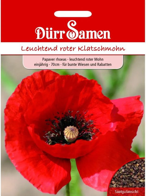 Dürr Mohn Saatgut Leuchtend Rot Einjährig 250 g - Bild 1
