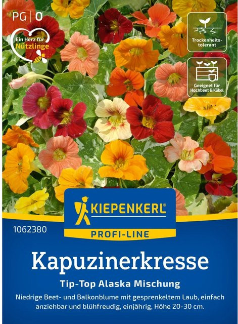 Kiepenkerl Kapuzinerkresse Tip Top Alaska Mischung mehrfarbig Blumensamen für Mauern, Steingärten, Hochbeete und Töpfe - Bild 1