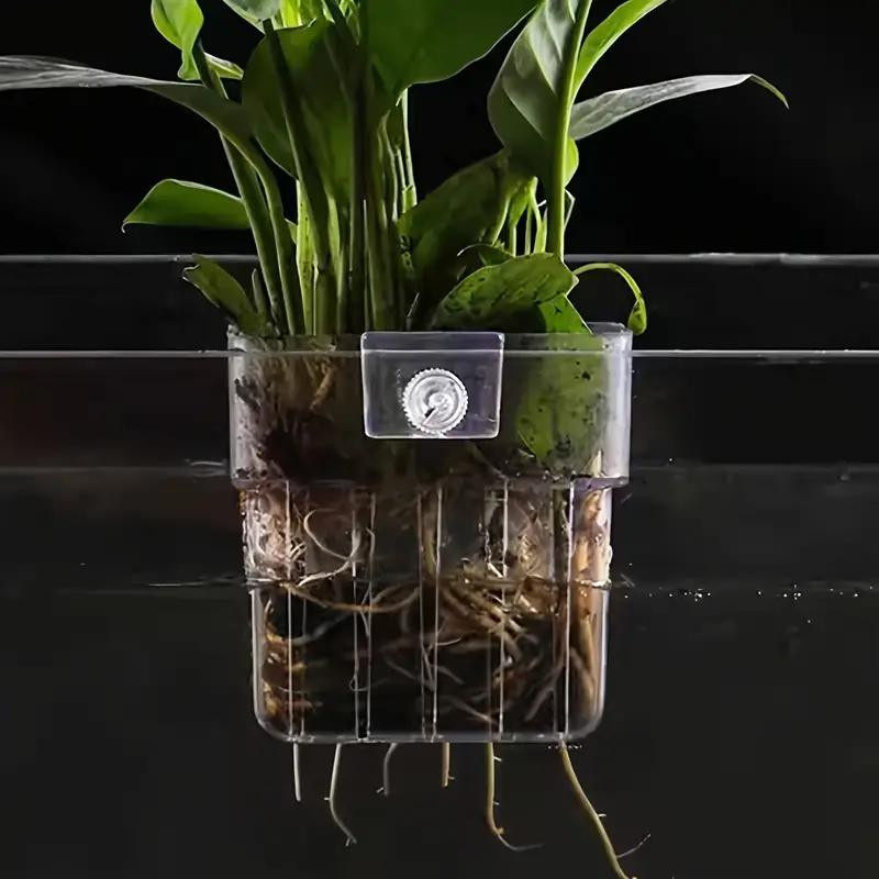 Transparentes Hydrokultur-Pflanzgefäß zur Wandmontage für Haushalt und Aquarium - Bild 1