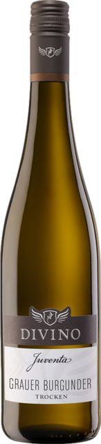 Divino Weißwein Pinot Grigio, 2025, Franken, trocken, 0,75 l - Bild 1