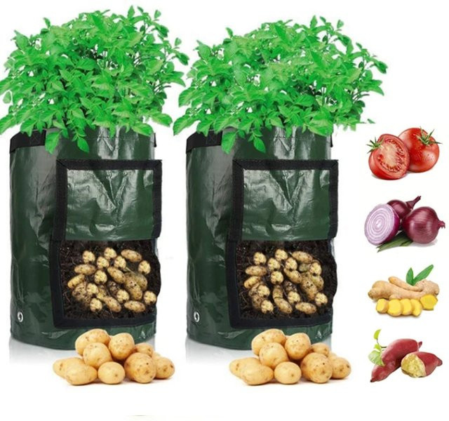 Gartentopf aus PE-Stoff für Kartoffeln und Gemüse mit Griffen und Klappe, Grün - Bild 1