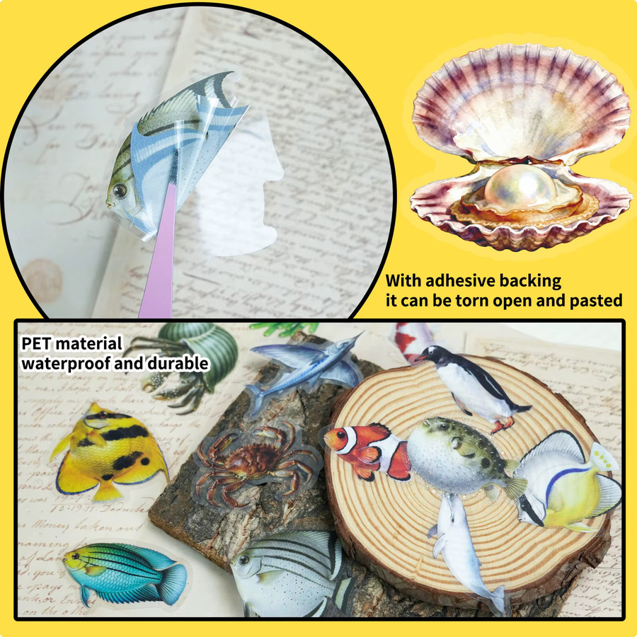 Realistische Meerestier PET Aufkleber in transparent und Multicolour für Notebook und Kühlschrank - Bild 3