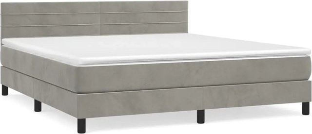 vidaXL Boxspringbett mit Matratze in Hellgrau aus Samt, B/T/H: 160 x 200 x 78 cm - Bild 1