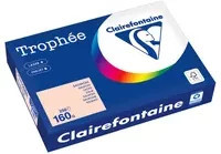 Clairefontaine Trophée Color Kopierpapier DIN A4, 160 g/m², 250 Blatt, Mehrfarbig (Pink & Multicolour) - Bild 1