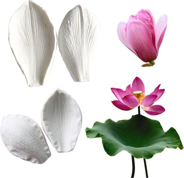 Kaymiklee Silikonformen Lotus und Magnolia für Fondant, Sugarcraft und Gumpaste in Weiß - Bild 1
