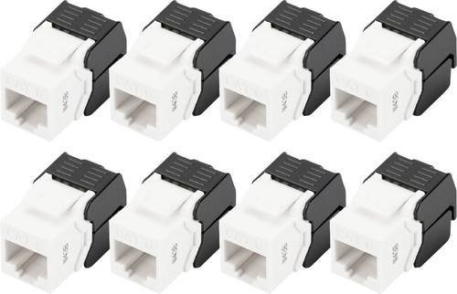 Digitus RJ45 Keystone CAT 6 Einbaumodul Ethernet LAN ungeschirmt, 8er Pack, Weiß - Bild 2