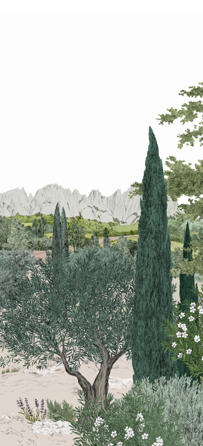 Isidore Leroy Mural Provence Été Wandtapete mit botanischem Sommer-Motiv in Mehrfarbig - Bild 1