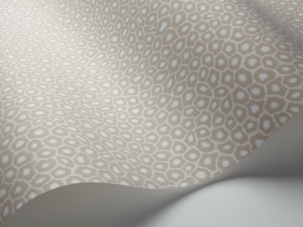 Cole & Son Tapete Senzo Spot in Stone & White mit gepunktetem Design aus Vlies - Bild 1