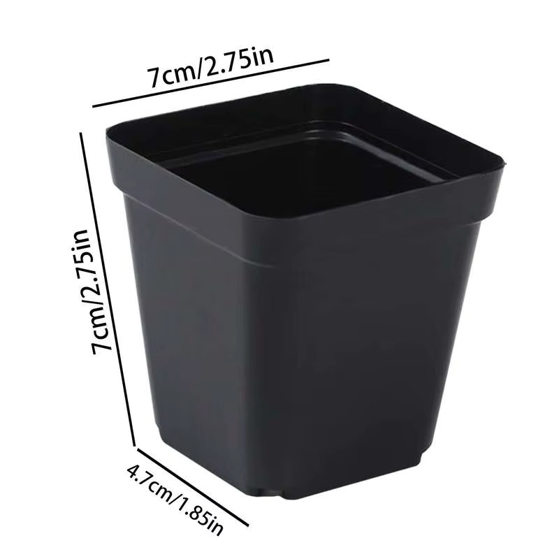 50 Stück quadratische Starter-Töpfe aus Kunststoff in Schwarz für Pflanzen und Sämlinge, B/T/H: 7 x 7 x 7 cm - Bild 5