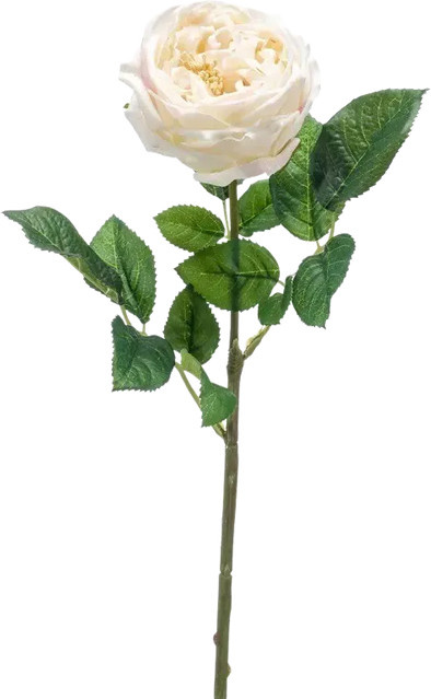 Künstliche Rose Miranda von Aplanta, Höhe: 58 cm - Bild 1