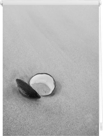 Lichtblick Rollo Klemmfix Muschel in Schwarz Weiß, blickdicht, B: 100 cm, H: 150 cm - Bild 1