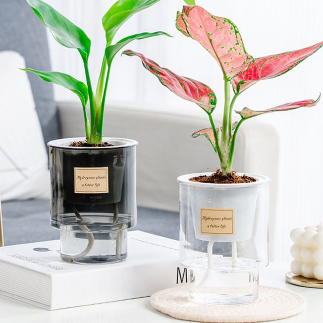 Selbstabsorbierender Hydrokultur-Blumentopf aus Kunststoff in Transparent und Weiß für Zimmerpflanzen - Bild 1