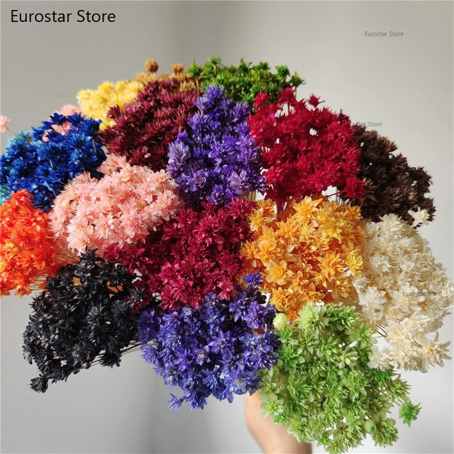 NUOYING Blumenstrauß aus echten getrockneten Gebirgsblumen, Multicolor, natürliche Tischdekoration für dein Zuhause - Bild 1