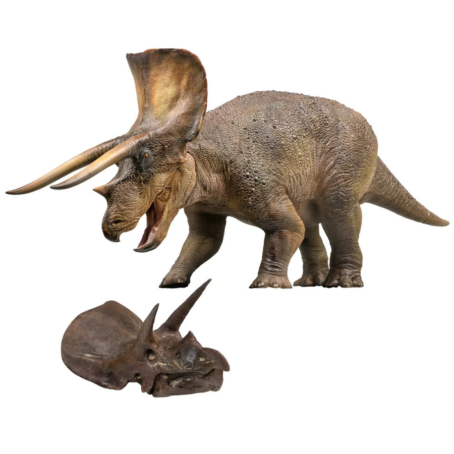 Pnso Dinosaurier Museen Serie, Triceratops, Kunstmodell, Braun - Bild 6