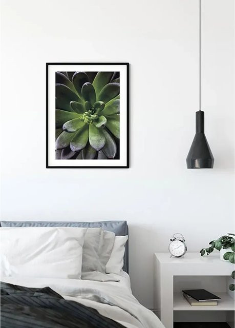 Komar Wandbild Succulent Paper Poster in Grün, Breite: 40 cm, Höhe: 50 cm - Bild 1