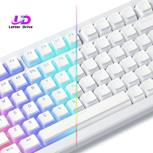 Weiße Pudding PBT Double Shot Keycaps im OEM-Profil mit 129 Tasten für mechanische Gaming-Tastaturen in 100%, 75%, 65% und 60% Layouts - Bild 1