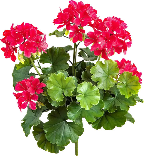 Künstliche Geranie Madita von Aplanta als Steckpflanze, Höhe: 39 cm - Bild 1