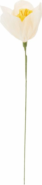 Rico Design Papierblume Narzisse in Weiß-Gelb - Bild 1