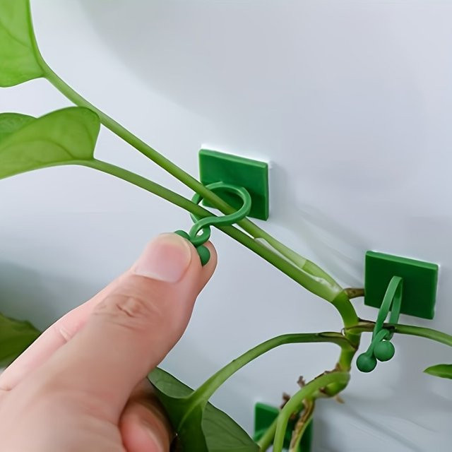 30 Stück selbstklebende Pflanzenkletterhaken in Grün, verstellbare Rankenhalter für Zimmerpflanzen und Garten zur Unterstützung von Kletterpflanzen - Bild 1