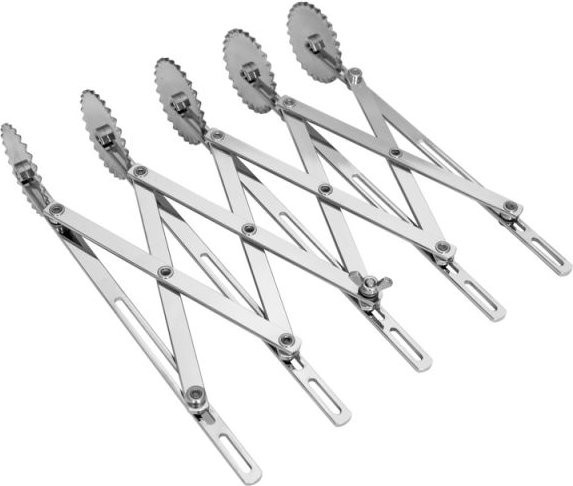 Schneider Teigschneider mit 5 gezackten Rädchen aus Edelstahl in Silber, B/T/H: 12,5 x 5,0 cm - Bild 1