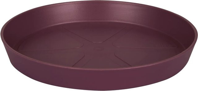 Elho Pflanzuntersetzer Loft Urban in Maulbeer, Durchmesser: 21 cm, Höhe: 3 cm - Bild 1