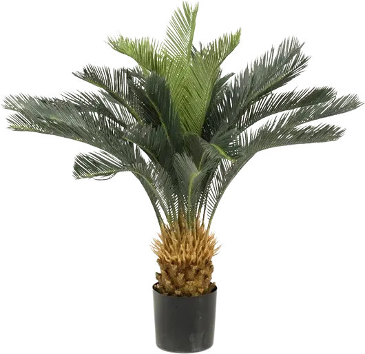 Künstlicher Palmfarn Karlotta von Aplanta, Höhe: 90 cm - Bild 1