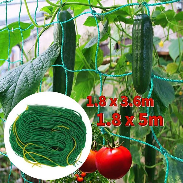 ALLOYSEED Klettergitter Rattan Netz in Grün als Verschleißfeste Rankhilfe für Gartenpflanzen und Gemüse wie Gurken und Wassermelonen - Bild 1