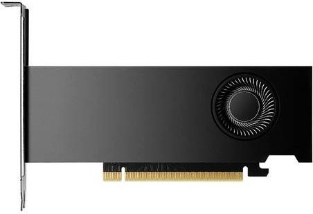 PNY Nvidia GeForce RTX 2000 ADA Grafikkarte mit 16GB GDDR6-RAM und Mini DisplayPort in Schwarz - Bild 1