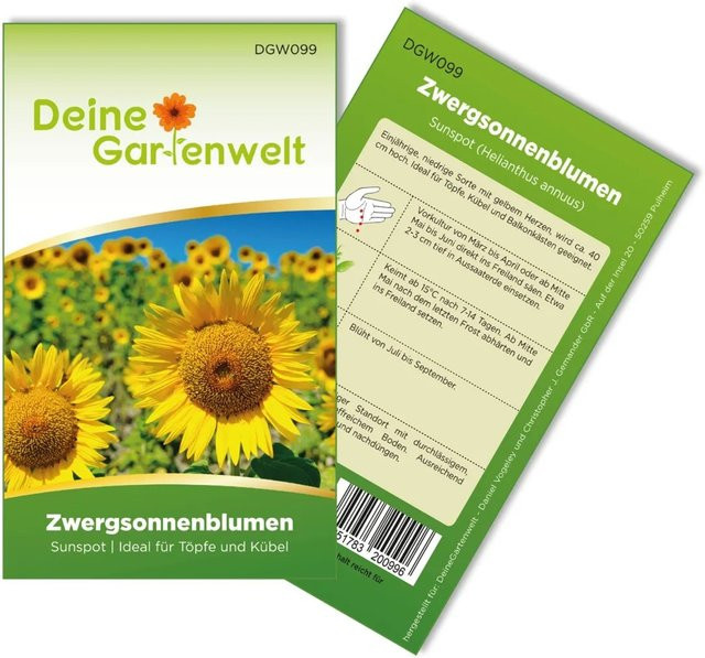 Deine Gartenwelt Zwergsonnenblume Sunspot Blumensamen für Balkon und Freiland - Bild 1