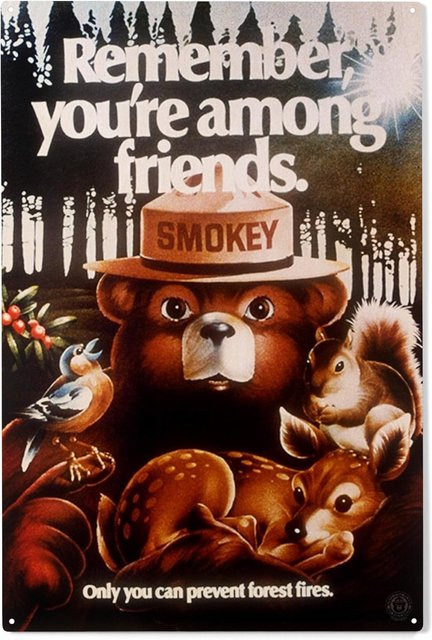 Lantern Press Holzschild Smokey Bear Wanddekoration Multicolor B: 20,0 cm, H: 20,0 cm - Bild 1