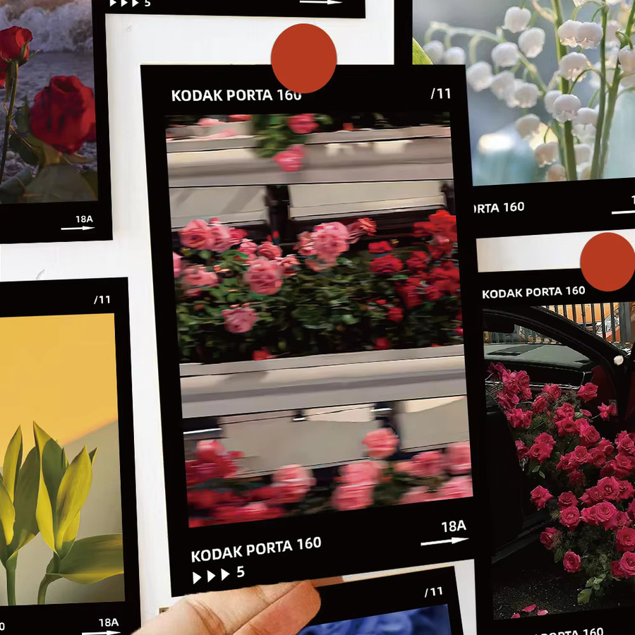 10 Stück Vintage Film-Stil Postkarten mit floralen Illustrationen zur Raumdekoration in Mehrfarben - Bild 5