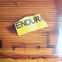 Enduro, Twentysomething Tunes, Vinyl/LP - Bild 1