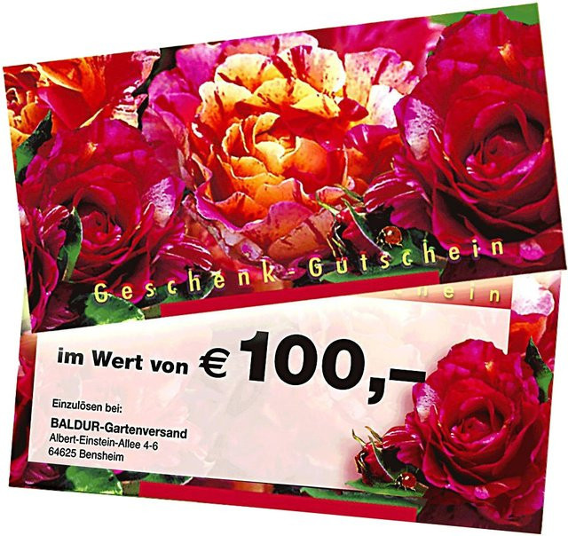 Geschenk-Gutschein im Wert von 100 EUR - Bild 1