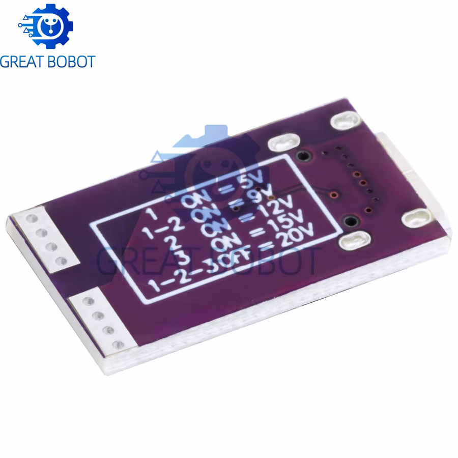 100W Typ-C PD Schnellladegerät-Modul mit Festausgang 5V 9V 12V 15V 20V 5A für DC-Laptop, Motor und LED-Beleuchtung in Violett - Bild 2