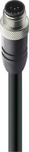 Belden 10971-5 Sensor-Aktor-Datensteckverbinder M12 Stecker gerade Schwarz 5,00 m 5-polig - Bild 1