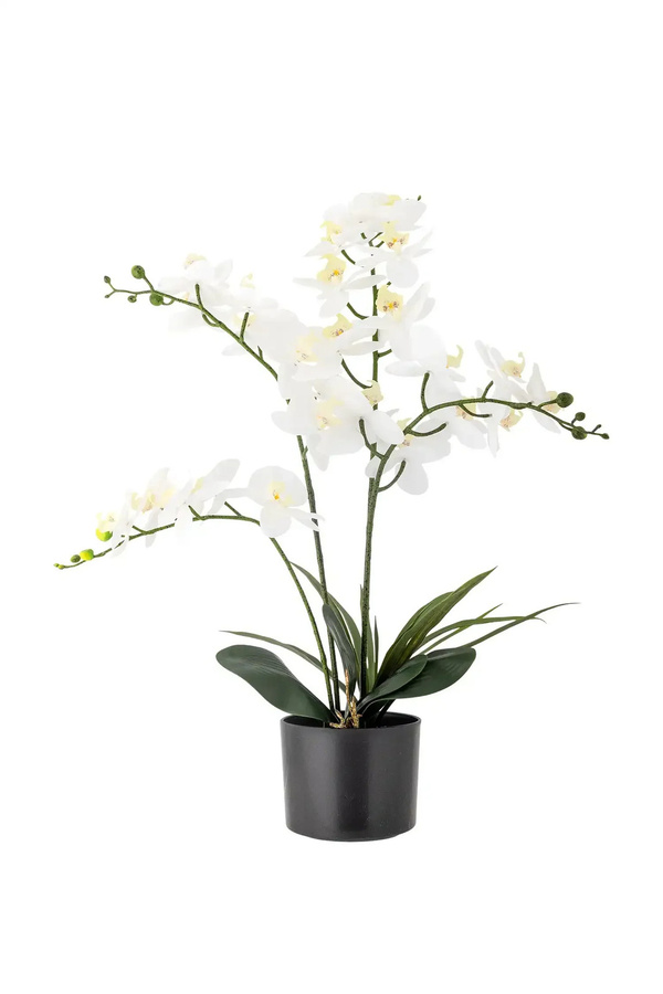 Bloomingville Orchidee Kunstpflanze grün Höhe: 84 cm - Bild 1
