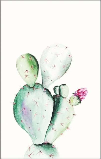 Komar Wandbild Prickly Pear in Grün, B: 50 cm, H: 70 cm - Bild 1