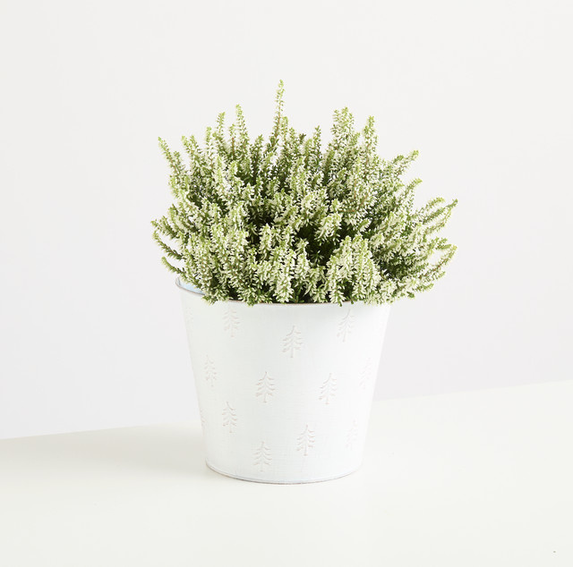 Weißes Zink Gefäß von BLUME2000 für Tischdekoration, Höhe: 21,0 cm, Breite: 18,0 cm, Tiefe: 1,0 cm - Bild 1