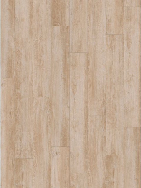 Parador Laminatbodenmuster Basic 400 Holzoptik in Beige im Scandinavian Design - Bild 1